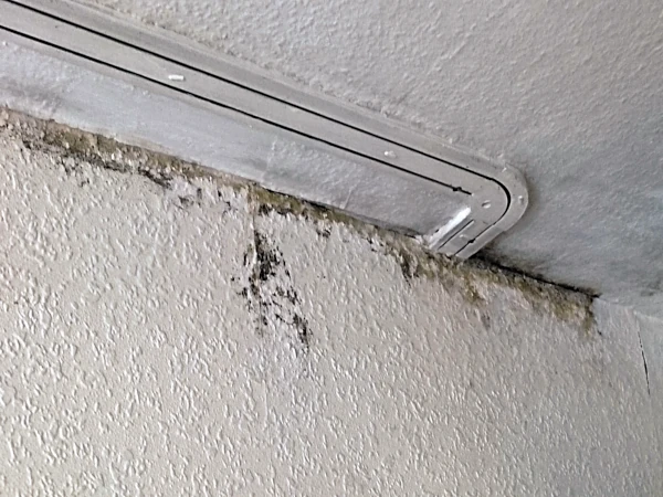 Beispiel Maleratbeiten 1