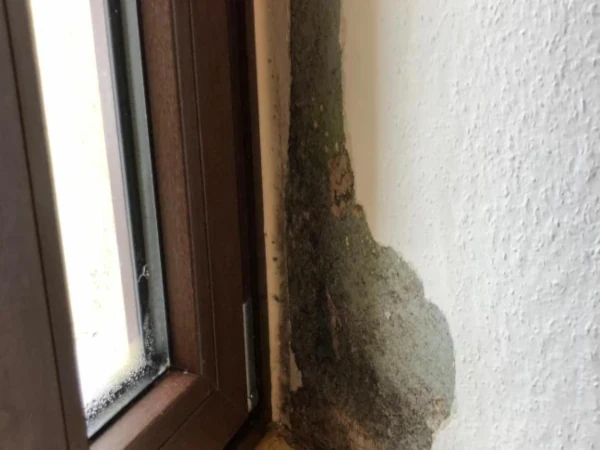 Beispiel Maleratbeiten 1