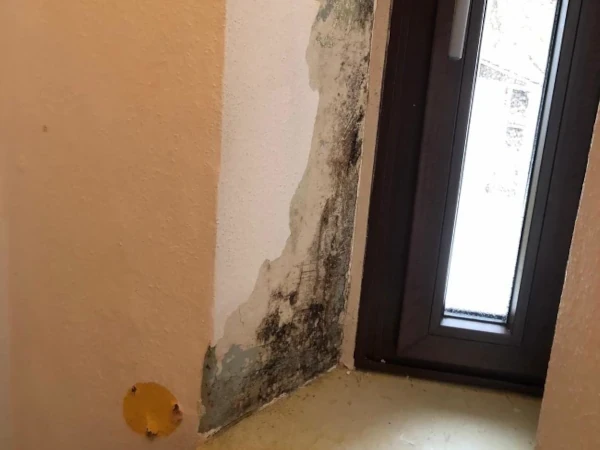 Beispiel Maleratbeiten 1